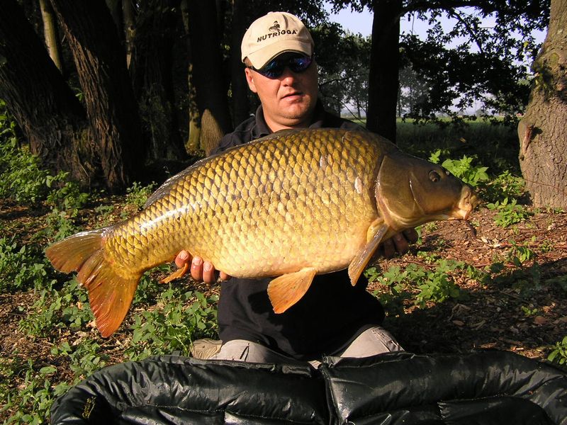 petr13.jpg